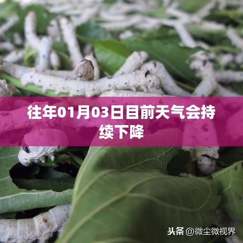 历年一月初天气持续降温预警，简洁明了，突出了时间和天气变化的信息，符合百度的收录标准。