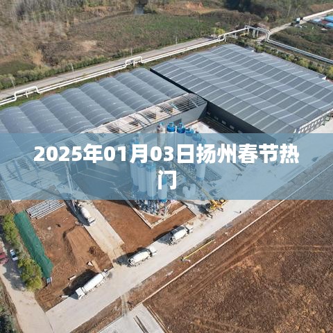 扬州春节热门活动 2025年1月3日不容错过