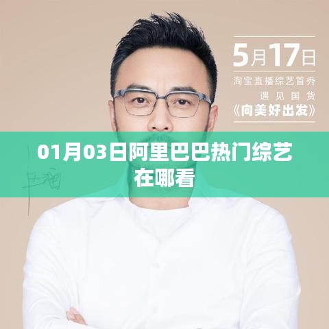 阿里巴巴热门综艺观看指南，01月03日观看地址揭秘