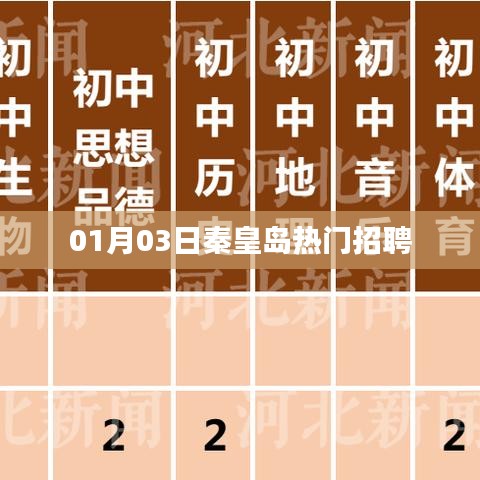 秦皇岛最新热门招聘讯息（日期，XX月XX日）