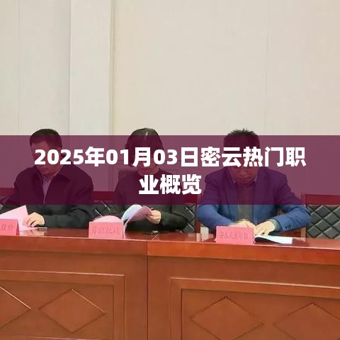 密云热门职业概览（2025年1月）
