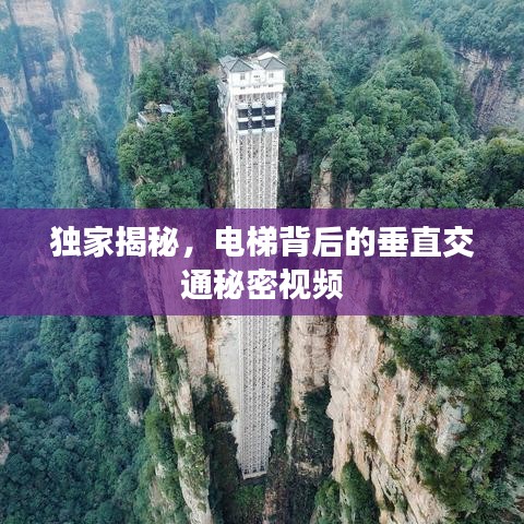 独家揭秘，电梯背后的垂直交通秘密视频