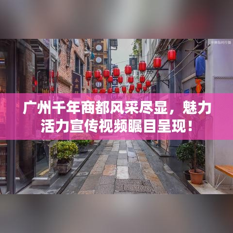 联系我们 第97页