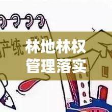 林地林权管理落实情况：林地管理暂行办法 