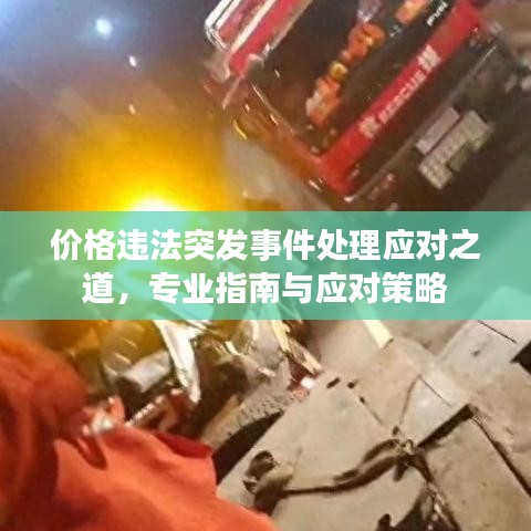 价格违法突发事件处理应对之道，专业指南与应对策略