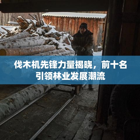 伐木机先锋力量揭晓，前十名引领林业发展潮流