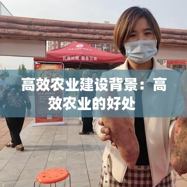 高效农业建设背景：高效农业的好处 