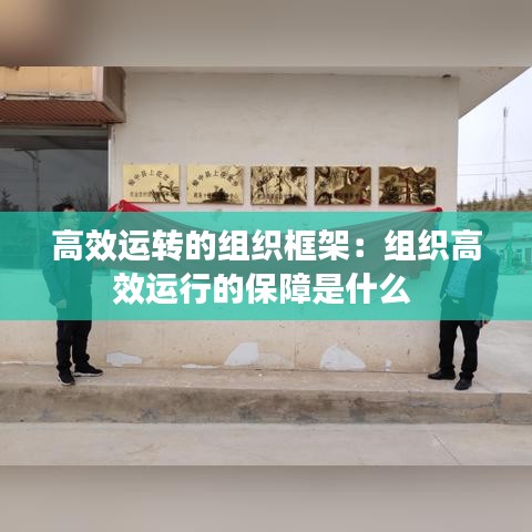 高效运转的组织框架：组织高效运行的保障是什么 