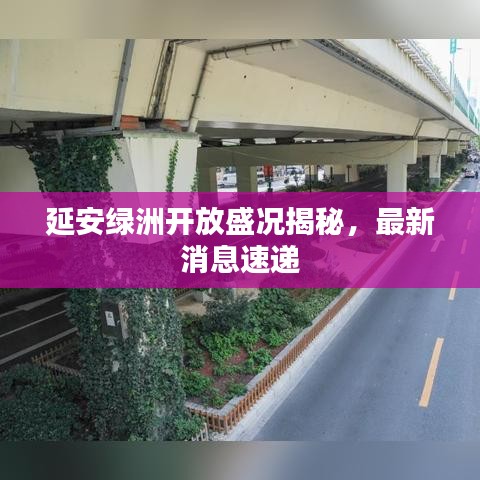 延安绿洲开放盛况揭秘，最新消息速递