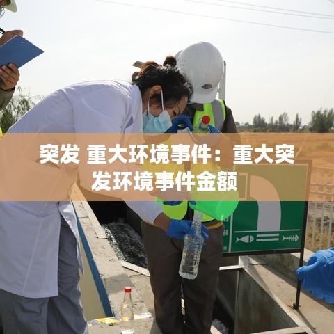 突发 重大环境事件：重大突发环境事件金额 