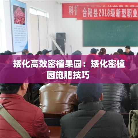 矮化高效密植果园：矮化密植园施肥技巧 