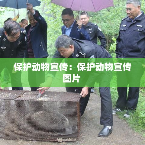 保护动物宣传：保护动物宣传图片 
