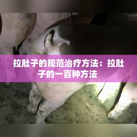 拉肚子的规范治疗方法：拉肚子的一百种方法 