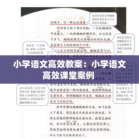 小学语文高效教案：小学语文高效课堂案例 