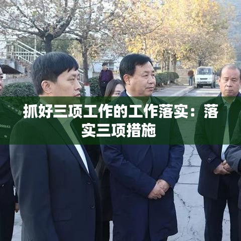 抓好三项工作的工作落实：落实三项措施 