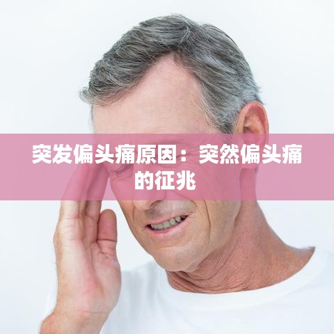 独学寡闻 第2页
