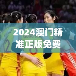 2024澳门精准正版免费｜综合数据解析说明