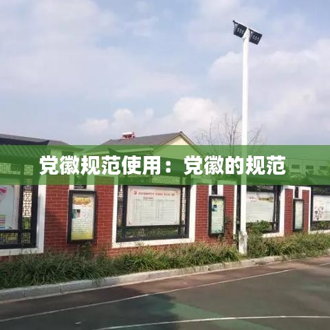 党徽规范使用：党徽的规范 