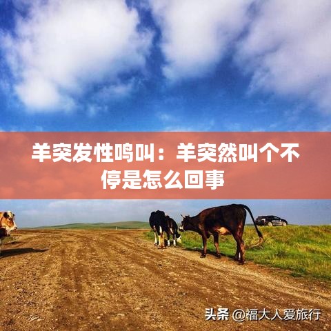 羊突发性鸣叫：羊突然叫个不停是怎么回事 