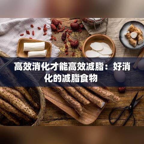高效消化才能高效减脂：好消化的减脂食物 