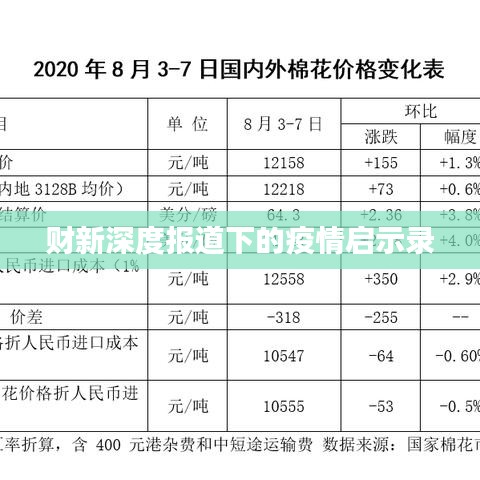 财新深度报道下的疫情启示录