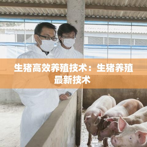 生猪高效养殖技术：生猪养殖最新技术 