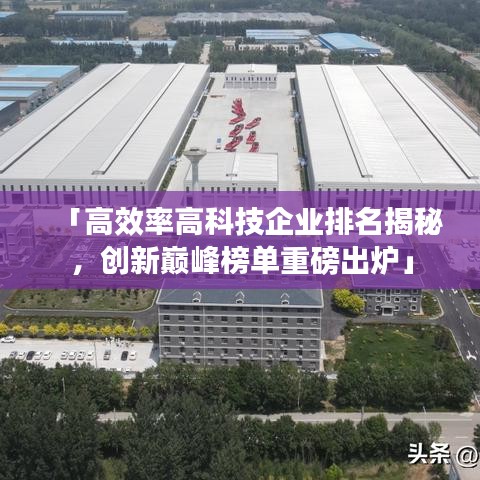 「高效率高科技企业排名揭秘，创新巅峰榜单重磅出炉」