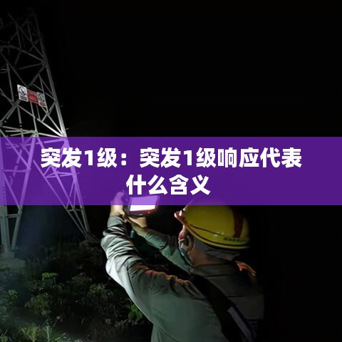 突发1级：突发1级响应代表什么含义 