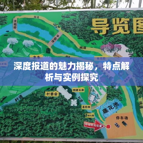 深度报道的魅力揭秘，特点解析与实例探究