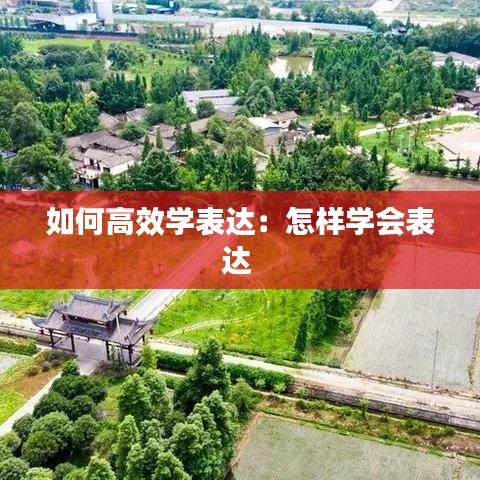 如何高效学表达：怎样学会表达 