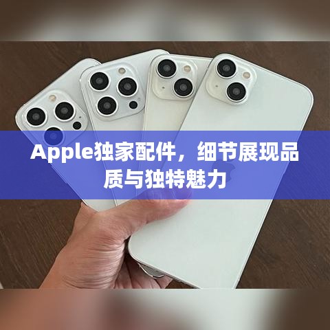 Apple独家配件，细节展现品质与独特魅力