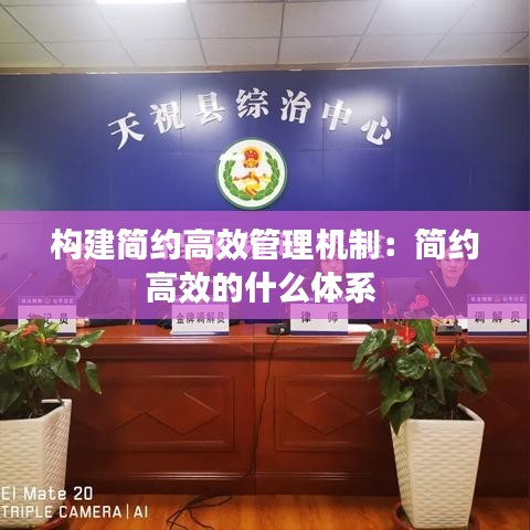 构建简约高效管理机制：简约高效的什么体系 
