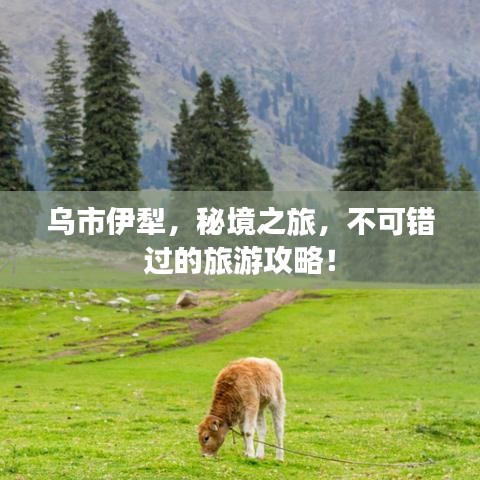 矢志不渝 第3页