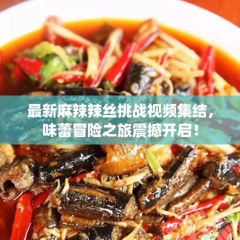 最新麻辣辣丝挑战视频集结，味蕾冒险之旅震撼开启！