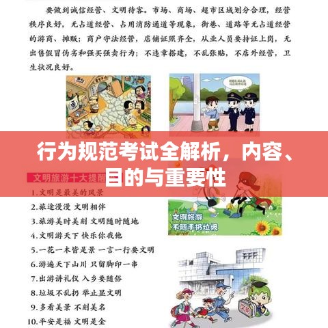 行为规范考试全解析，内容、目的与重要性