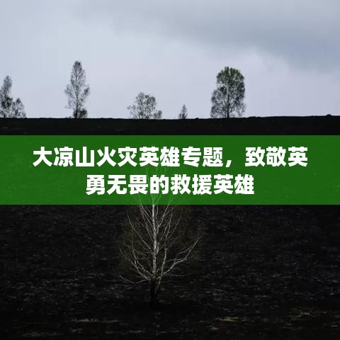 鸟之将死 第2页