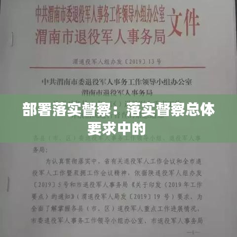 部署落实督察：落实督察总体要求中的 