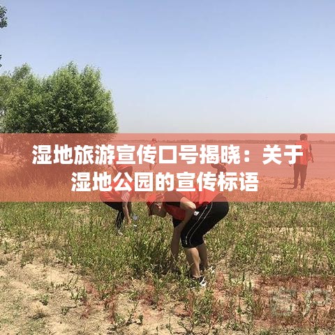 湿地旅游宣传口号揭晓：关于湿地公园的宣传标语 