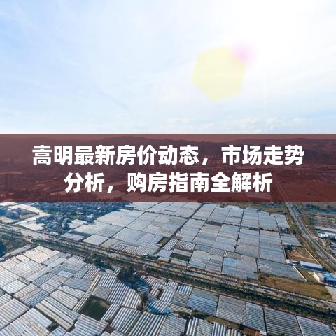 嵩明最新房价动态，市场走势分析，购房指南全解析