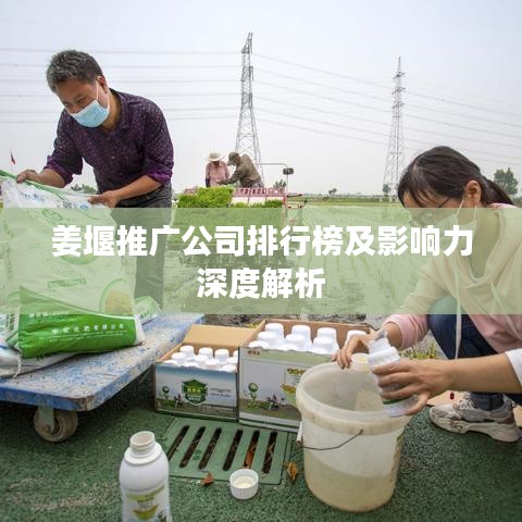 姜堰推广公司排行榜及影响力深度解析