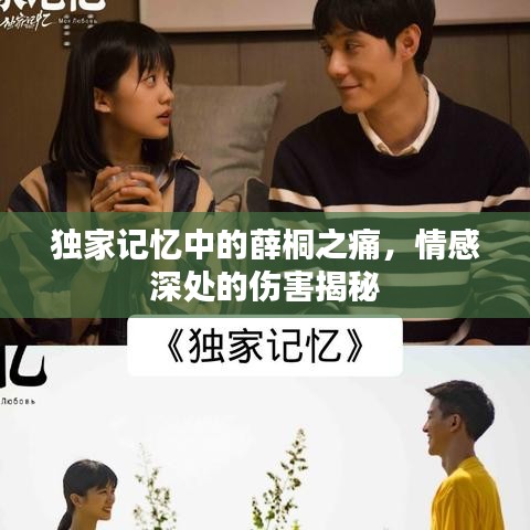 独家记忆中的薛桐之痛，情感深处的伤害揭秘