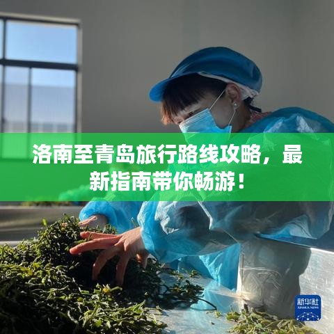 洛南至青岛旅行路线攻略，最新指南带你畅游！