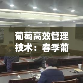葡萄高效管理技术：春季葡萄的管理技术视频 