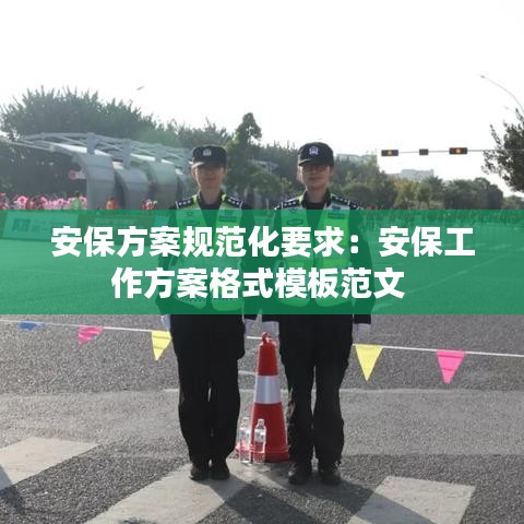 安保方案规范化要求：安保工作方案格式模板范文 