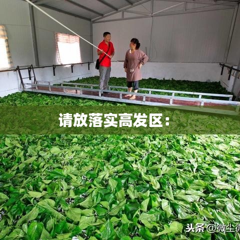 请放落实高发区： 