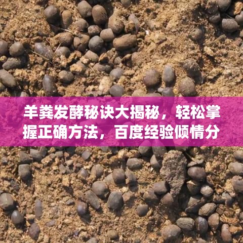 羊粪发酵秘诀大揭秘，轻松掌握正确方法，百度经验倾情分享