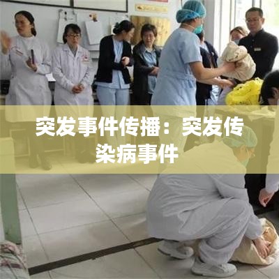突发事件传播：突发传染病事件 