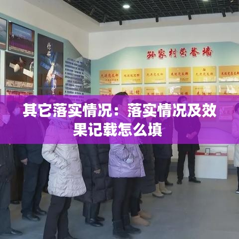 其它落实情况：落实情况及效果记载怎么填 