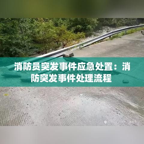 消防员突发事件应急处置：消防突发事件处理流程 
