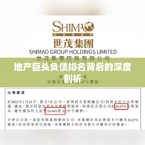 地产巨头负债排名背后的深度剖析